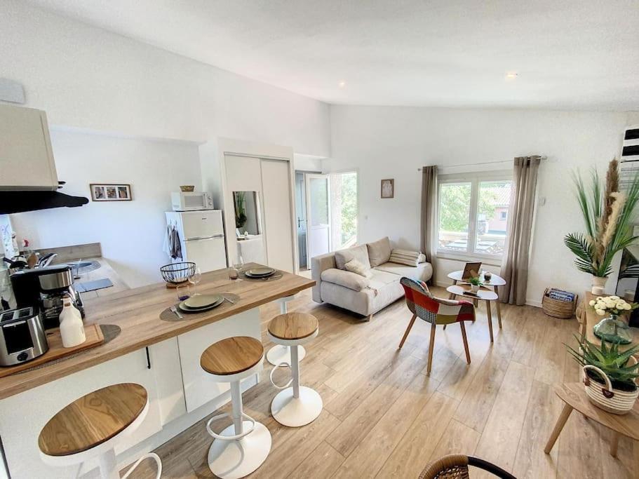Appartement Les Penates Du Pastel - Jardin & Terrasse à Villefranche-de-Lauragais Extérieur photo